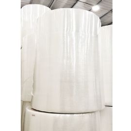 Textile tissé de Spunbond Spunlace de polyester de 100% pp non favorable à l'environnement