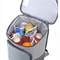 Refroidisseur de sac à dos isolé par poids léger de grande capacité de 30 boîtes pour des pique-niques