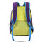 Sacs faits sur commande en nylon occasionnels de sports augmentant la taille du sac à dos 33x15x45cm de camping