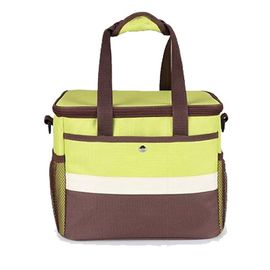 Les divers styles ont isolé la taille du matériel 29x22x24 cm d'Oxford de sacs de refroidisseur