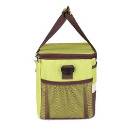 Les divers styles ont isolé la taille du matériel 29x22x24 cm d'Oxford de sacs de refroidisseur